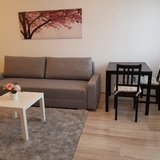 Lacul Tei, Parcul Circului